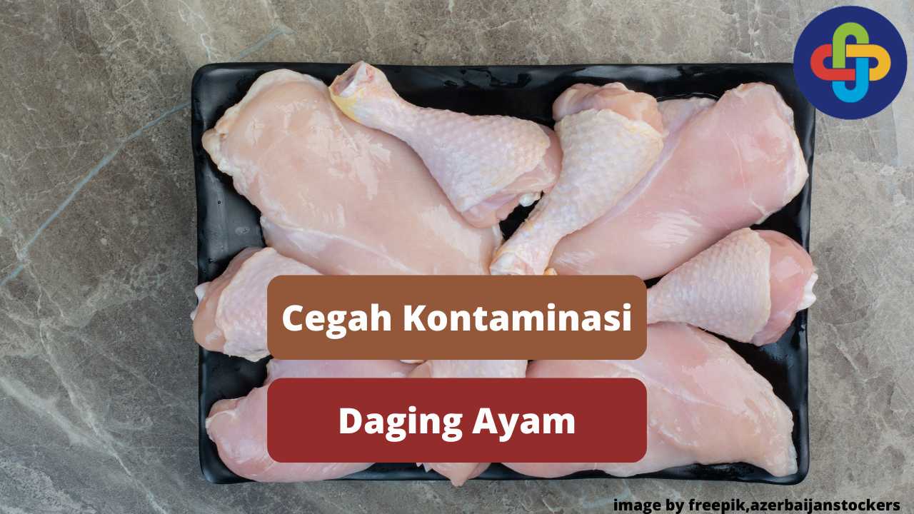 Ketahui Cara Mencegah Kontaminasi Daging Ayam
